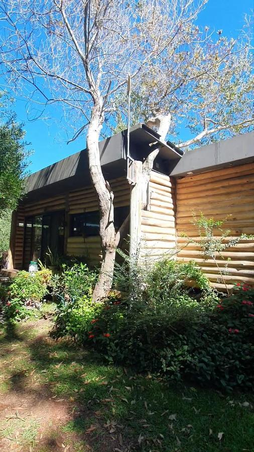 Chalet Los Troncos サウセ・デ・ポルテスエロ エクステリア 写真